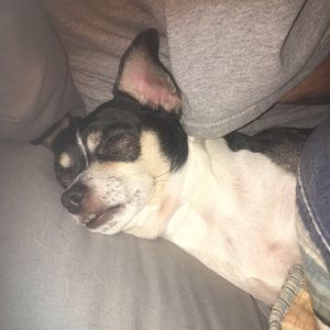 Meet your Posher, Paula